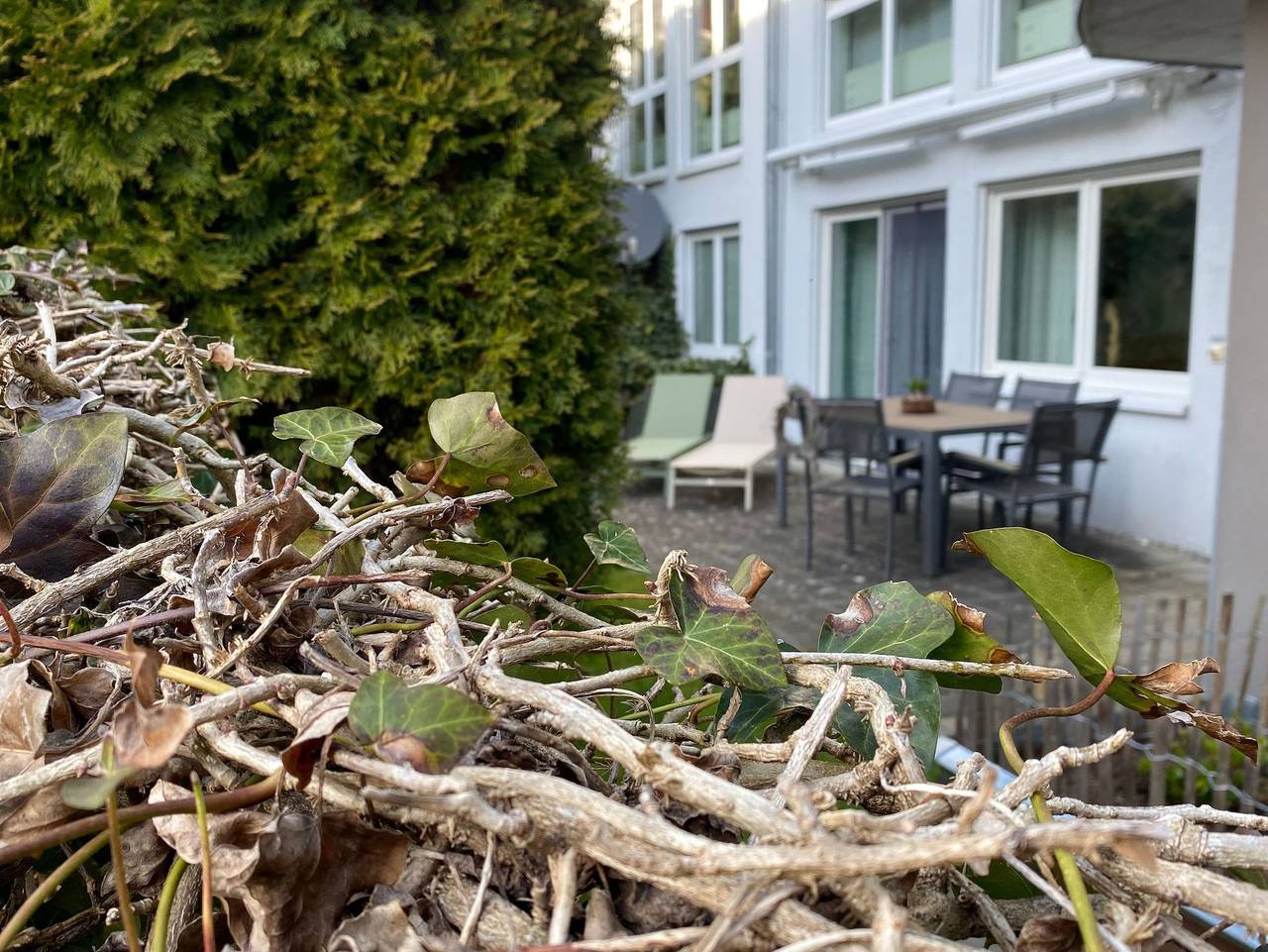 Ganze Ferienwohnung, Ferienwohnung Fünfländerblick - 2-Raum-Ferienwohnung Dusche/Wc, 55 qm, Eg in Markdorf, Region Bodensee-Oberschwaben