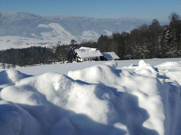 Bauernhof für 3 Personen, mit Garten, mit Haustier am Mondsee