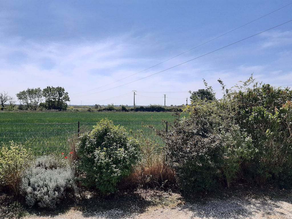 Maison Les Saulniers Mer in Marennes, Côte de Beauté