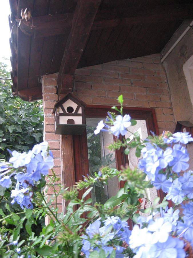 B&B A casa della zia in Farra di Soligo, Provincia di Treviso