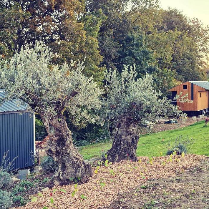 Camping pour 4 personnes, avec Terrasse et Jacuzzi ainsi que Jardin et Sauna dans le Parc naturel régional du Morvan