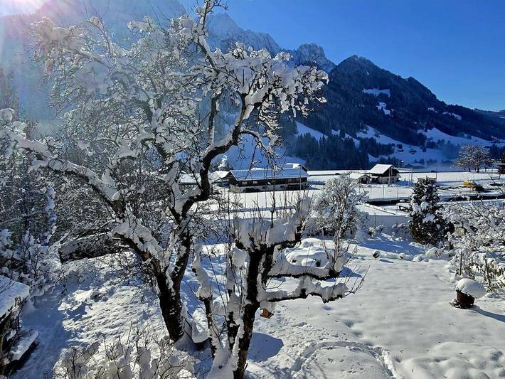 Gîte pour 5 personnes, avec vue et jardin, animaux acceptés à Rougemont - 2