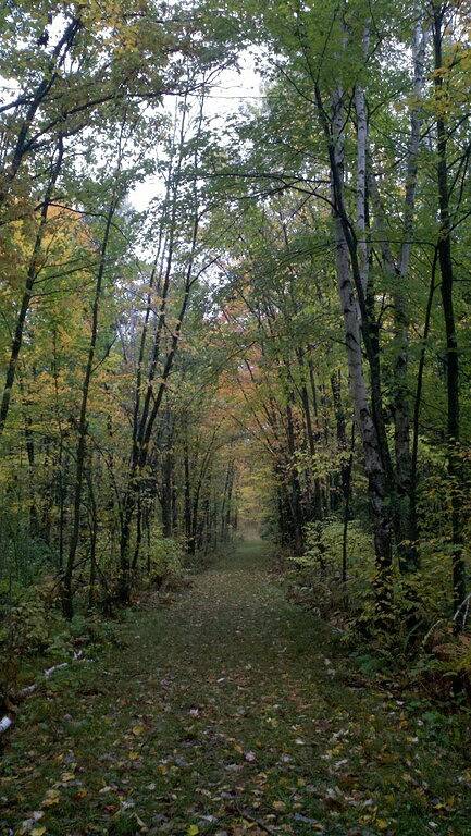 Haustierfreundliche Hütte auf den Wiesen am Waldrand mit großen Fenstern in Aitkin County