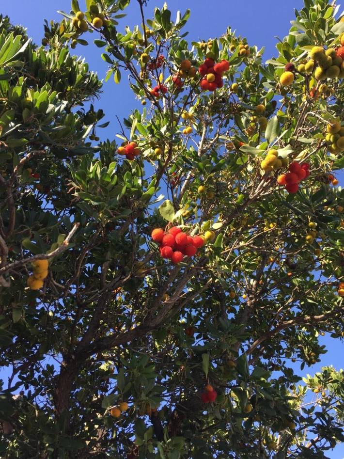 Chambre d’hôte pour 2 personnes, avec vue ainsi que jardin et balcon à Assemini - 4