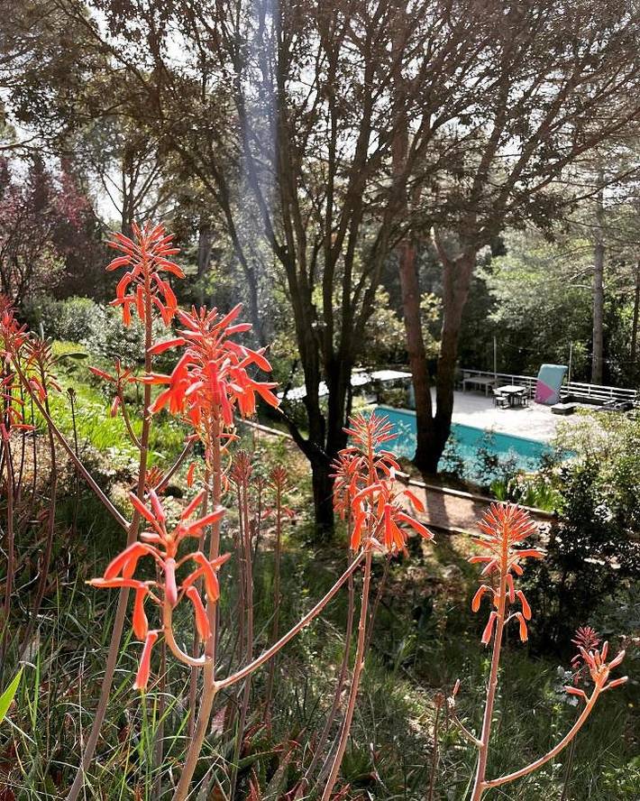 Gîte pour 5 personnes, avec jardin ainsi que piscine et vue, animaux acceptés dans Lac de la Cavayère - 3