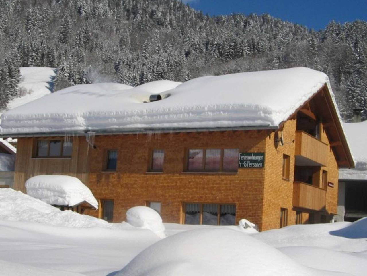 Ganze Ferienwohnung, Oberhauser Dunja - Ferienwohnung 1 in Schoppernau, Bregenzerwald