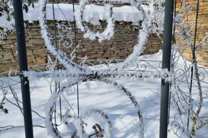 Chambre d’hôte pour 3 personnes, avec jardin dans Saxe-Anhalt - 3