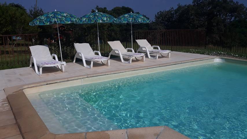 Gîte pour 6 personnes, avec piscine ainsi que jardin et terrasse, animaux acceptés dans Occitanie - 4