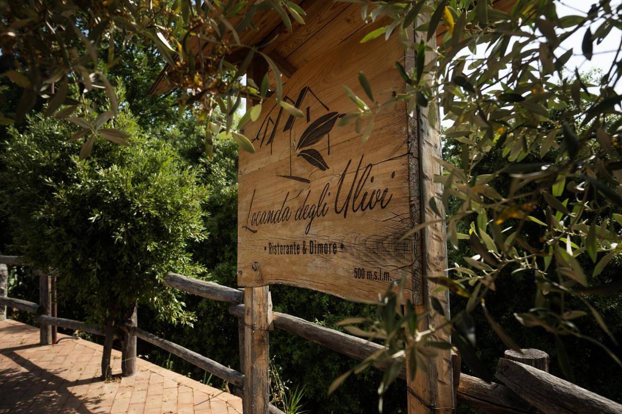 Locanda degli Ulivi in Mammola, Province de Reggio Calabria