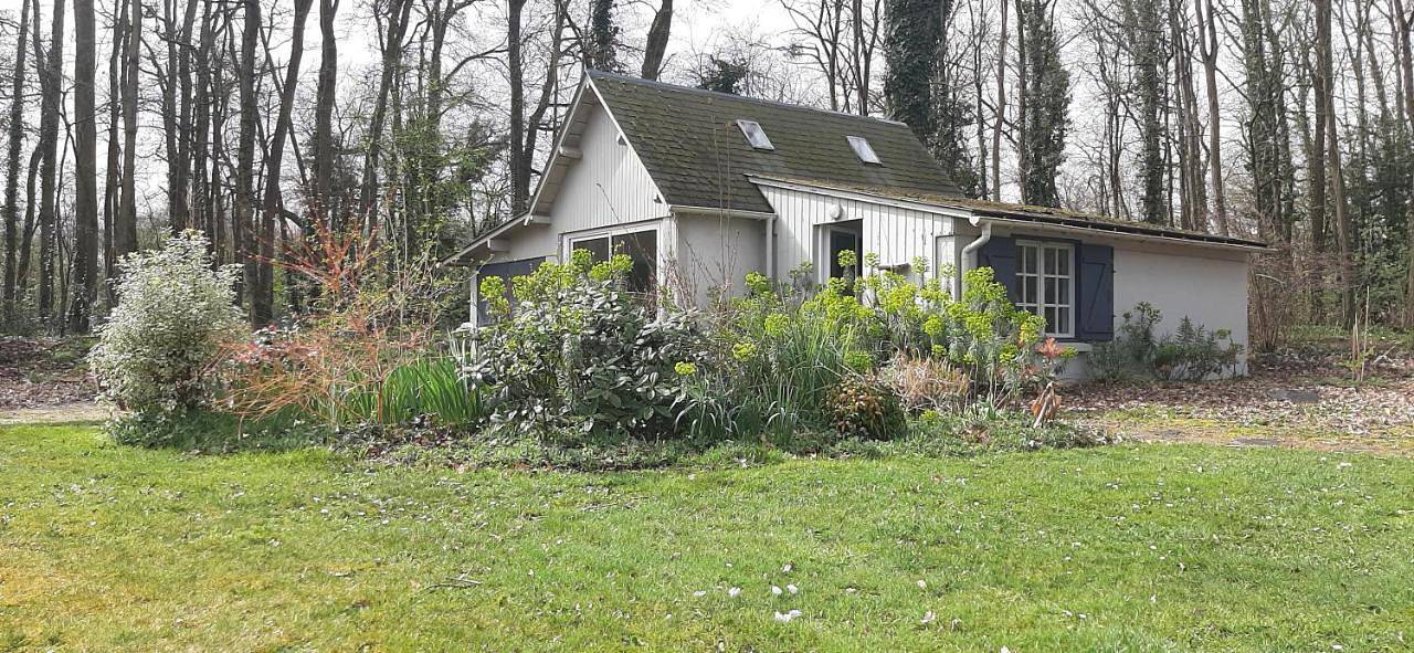 Le bois des Mottouses in Pellouailles-les-Vignes, Verrières-en-Anjou