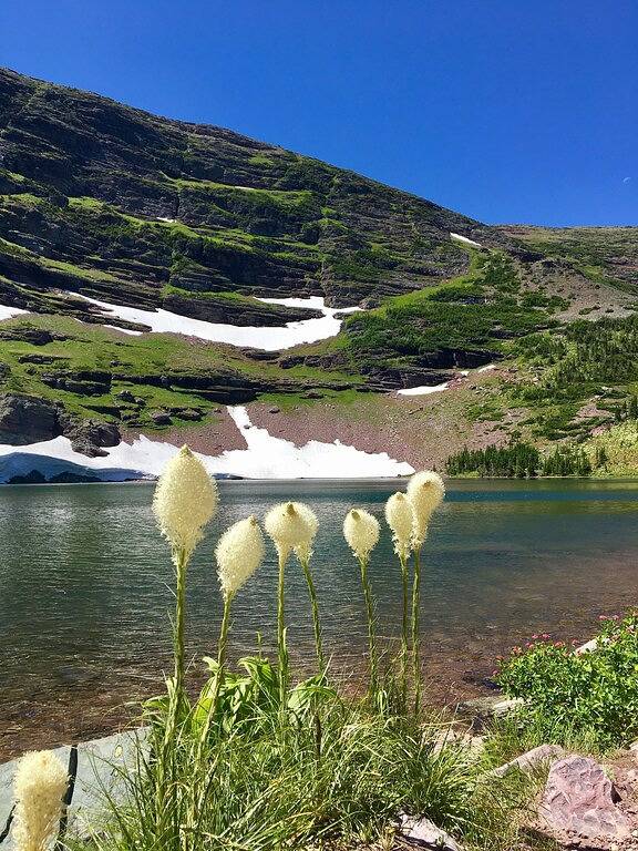 Vacation rental for 6 people, with balcony and yard in Glacier National Park