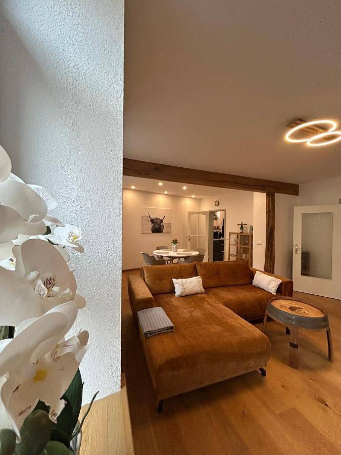 Ferienhaus für 4 Personen, mit Terrasse in Sankt Martin - 3