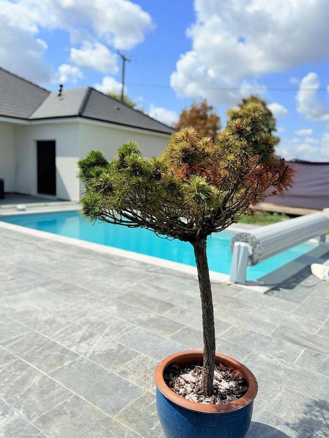 Camping pour 2 personnes, avec piscine et jardin dans le Cher - 3