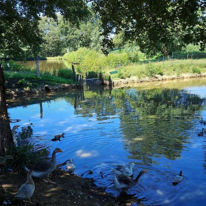 Location de vacances pour 5 personnes, avec vue et jardin, animaux acceptés à Vieux-Vy-sur-Couesnon - 3
