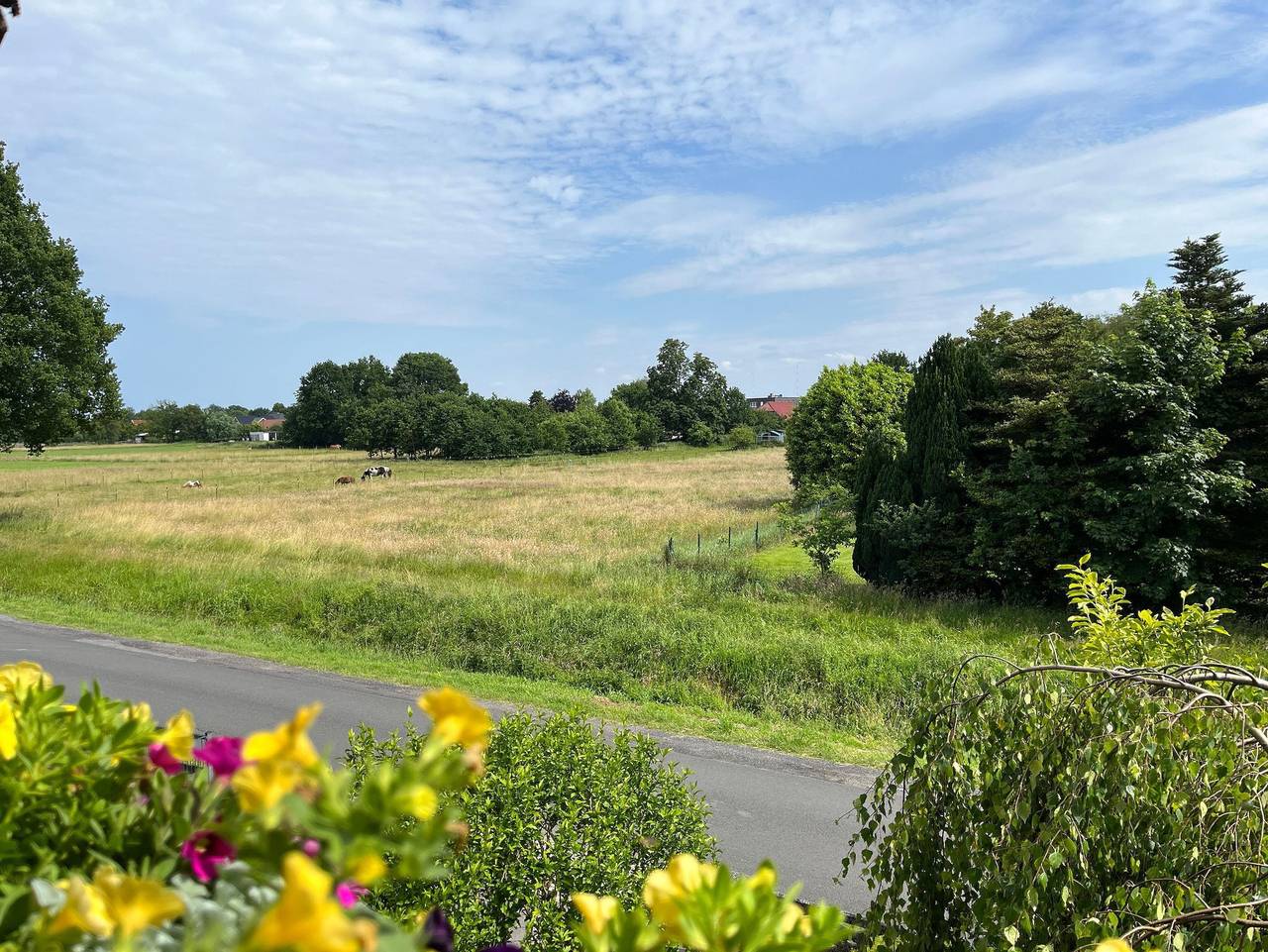 Ganze Ferienwohnung, Ferienwohnung Lüttje Fehn, 95179 - Ferienwohnung Lüttje Fehn in Rhauderfehn, Emsland