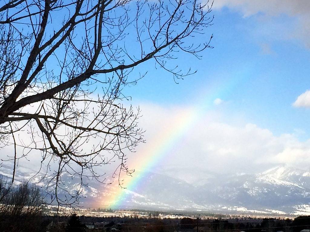 Wilderness Spirit Cabins 'Bear Cave' ist ein kabinenfreundliches Paradies für Sportler in Ravalli County
