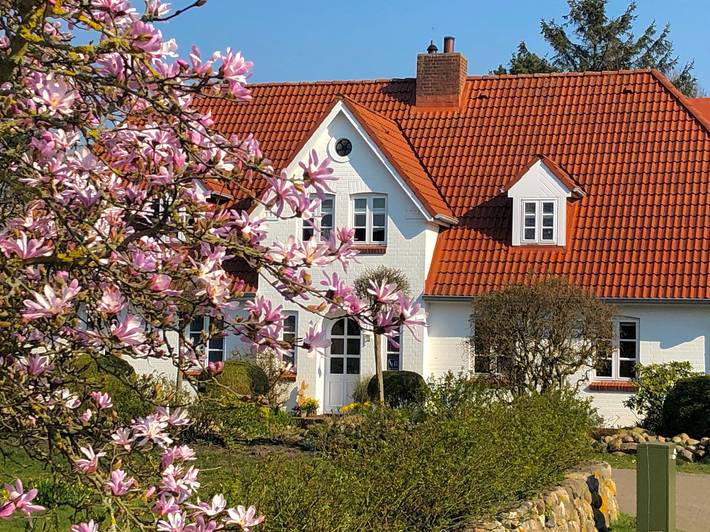 Ganze Ferienwohnung, Am Weizenfeld 13 in Wyk auf Föhr (Stadt), Wyk auf Föhr