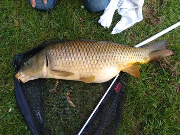 Gîte pour 12 Personnes dans Aron, Mayenne, Photo 2