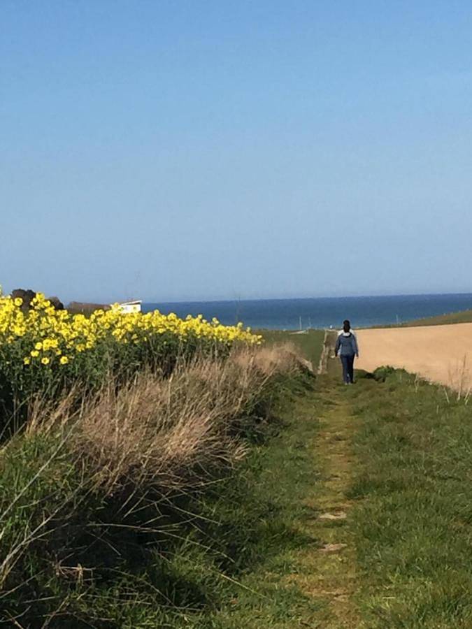 Location de vacances pour 6 personnes, avec terrasse et jardin à Le Bourg-Dun - 2