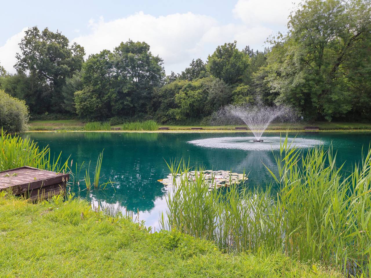Woodpecker Lodge in Heart of England