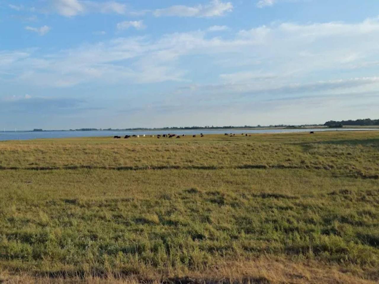 4 Sterne Ferienhaus in Bogense in Bogense, Kleiner Belt