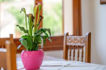 Ferienhaus in Alaró, Mallorca Inselmitte für 6 