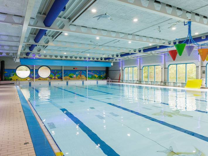 Camping für 4 Personen, mit Pool und Terrasse in Drenthe