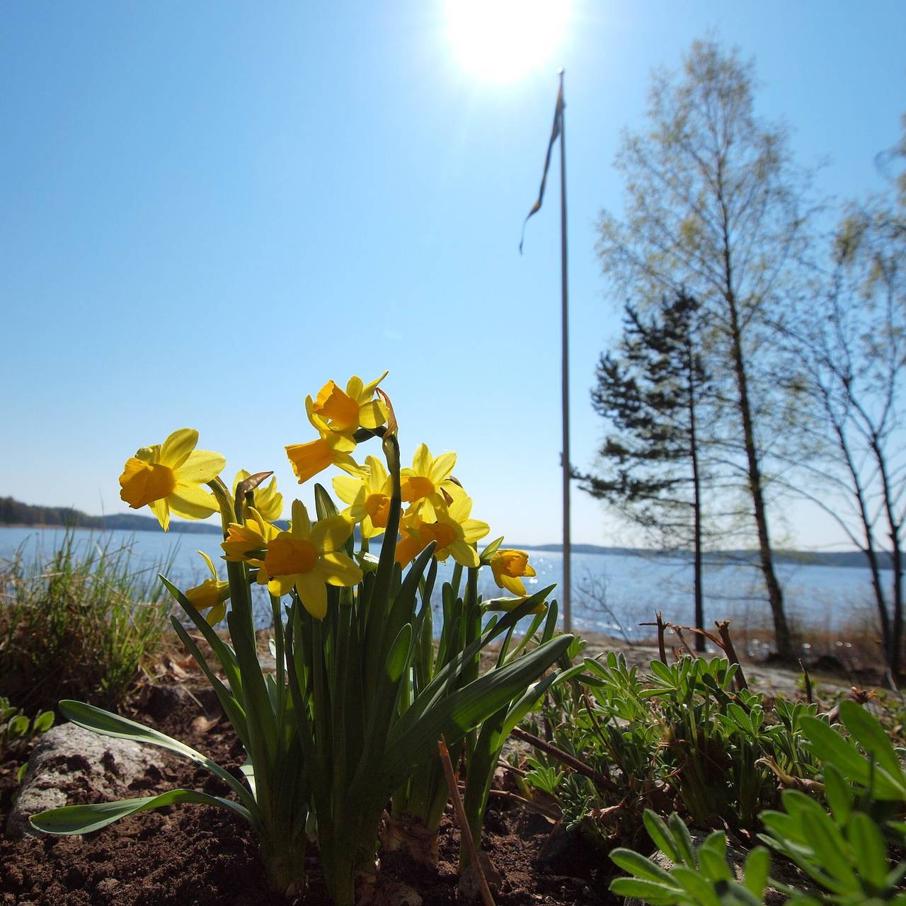 Ferienhaus am See mit eigenem Badestrand in Vänern