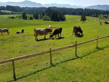 Bauernhof für 4 Personen in Immenstadt, Allgäuer Alpen, Bild 3