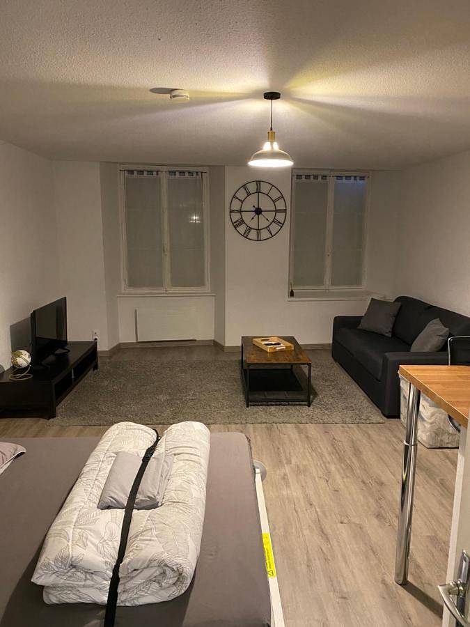Appartement entier, Le petit Langrois in Langres, Haute-Marne