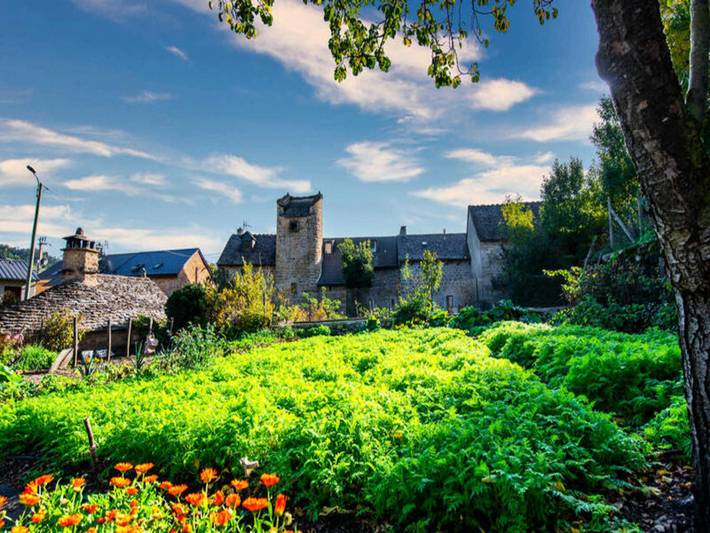 Gîte pour 4 personnes, avec jardin et piscine, adapté aux familles à Saint-Étienne-du-Valdonnez - 4