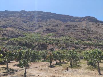 Finca für 2 Personen in La Humbridilla, Mogán, Bild 3