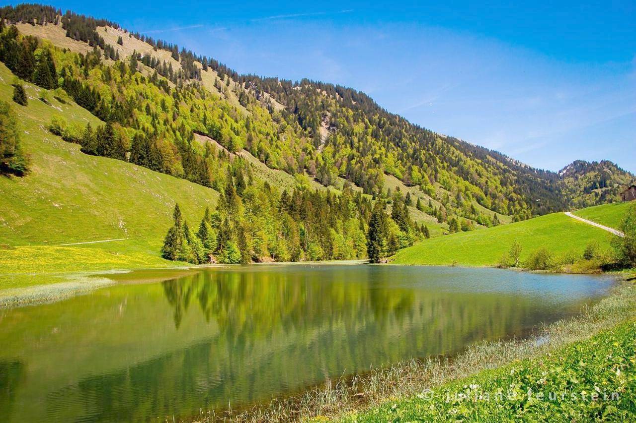 Ganze Wohnung, Two-Bedroom Apartment with Balcony in Hittisau, Bregenzerwald