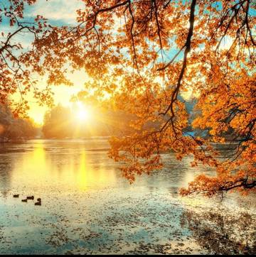 Gîte pour 2 personnes, avec terrasse dans Saint-Georges-sur-Eure