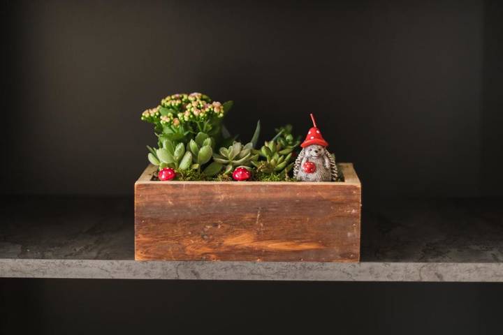 Gîte pour 3 personnes, avec jardin et piscine à San Damiano d'Asti - 3