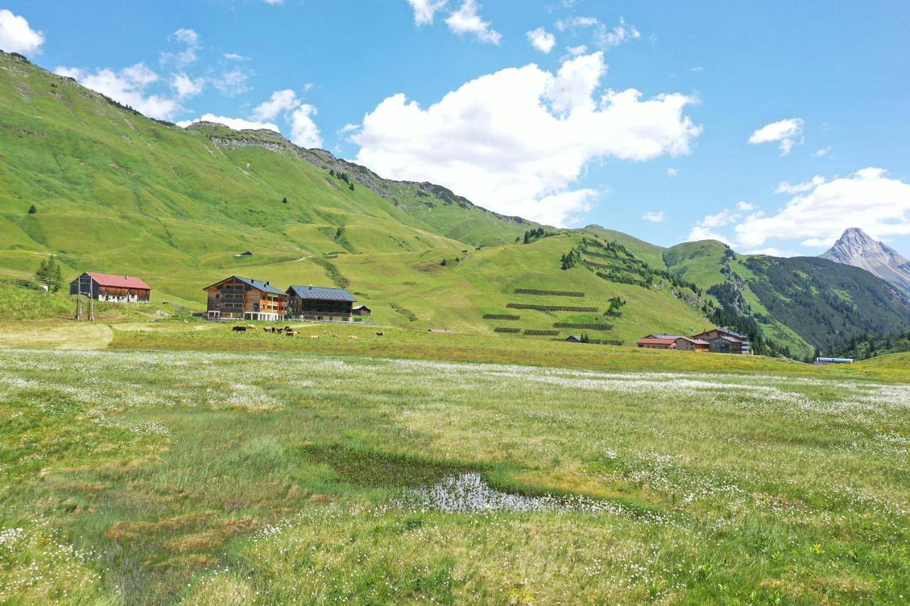 Apart-wolf-arlberg in Warth, Bregenzerwoud