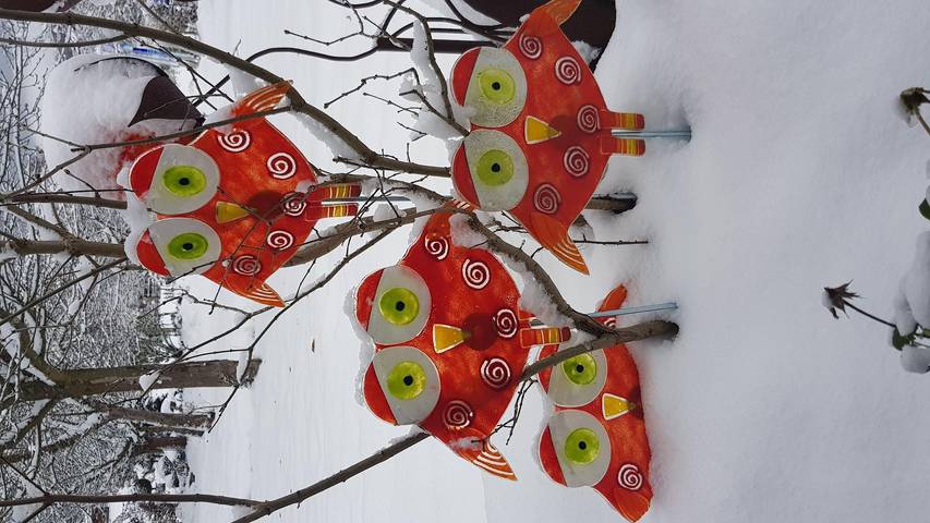 Ferienhaus für 5 Personen, mit Balkon in Arrach - 4