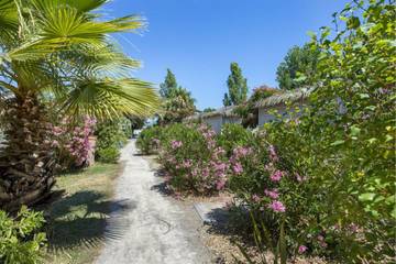 Camping pour 6 Personnes dans Fréjus, Région de Draguignan, Photo 4