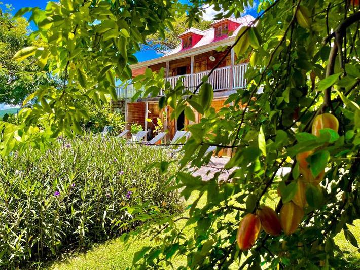 Maison d’hôte pour 2 personnes, avec piscine ainsi que vue et jardin, animaux acceptés en Guadeloupe - 3