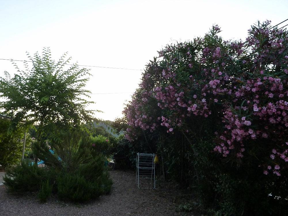 Gite Les Lauriers, climatisé, près des plages in Sollacaro, Arrondissement de Sartène