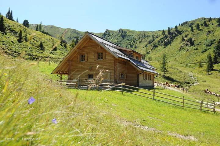 Hütte für 18 Personen, mit Garten und Sauna, kinderfreundlich in Österreich - 3
