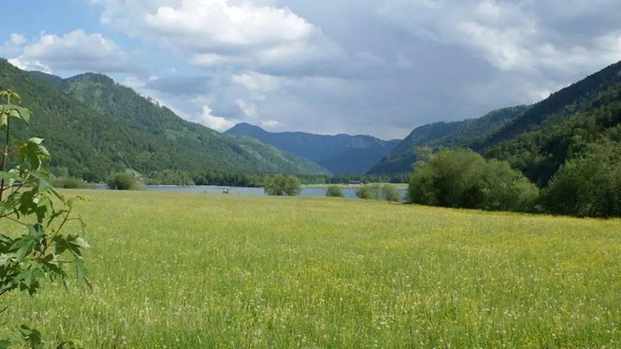 Einzelzimmer für 1 Person in Faistenau in Salzkammergut-Berge, Faistenau