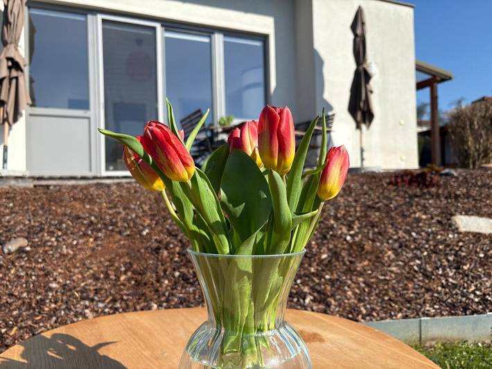 Ferienhaus für 4 Personen, mit Sauna und Garten sowie Ausblick