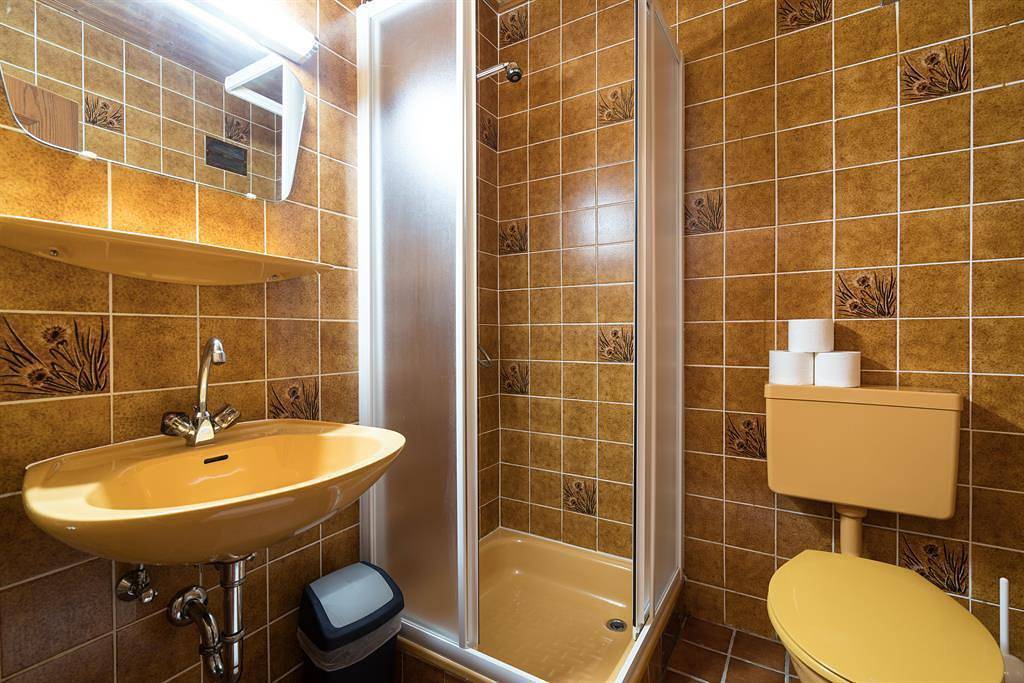 Ganze Ferienwohnung, Vierbettzimmer mit Dusche, Wc in Kleinarl, Ski Amadé