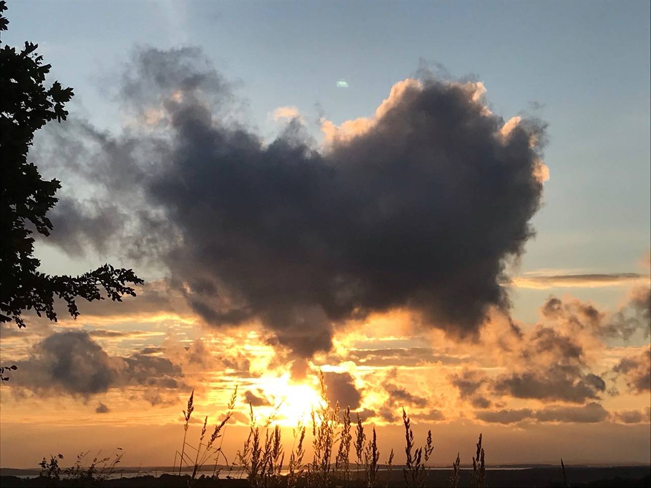 Entire holiday apartment, Wohnung Boot- Am kleinen Königsstuhl in Neddesitz, Sagard