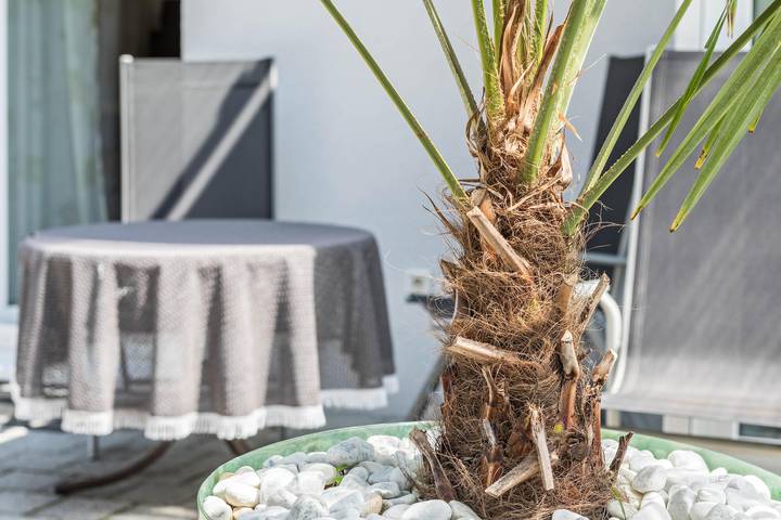 Ferienwohnung für 2 Personen in Meersburg - 3