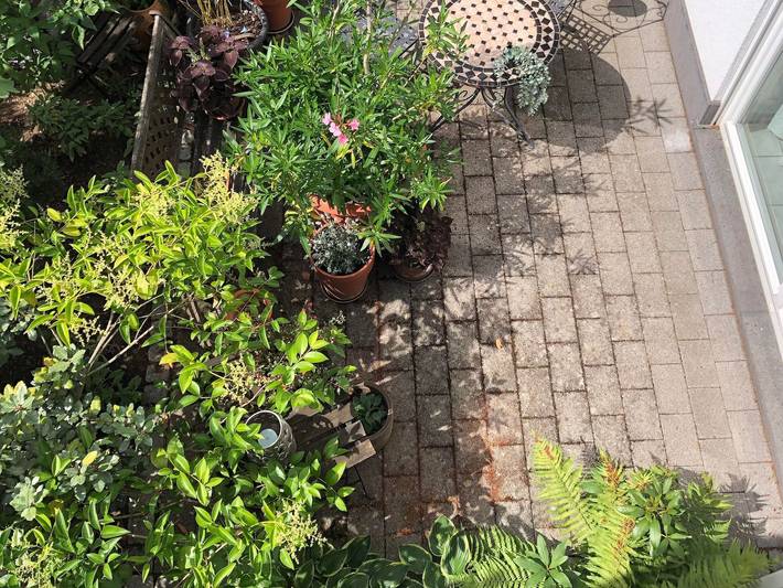 Ferienwohnung für 4 Personen, mit Terrasse in Koblenz - 2