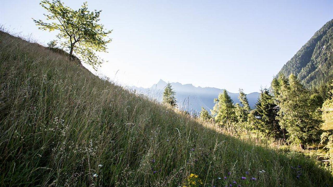 Ganze Ferienwohnung, Ferienwohnung für 4 Personen (40 m²) in Sautens in Sautens, Ötztal