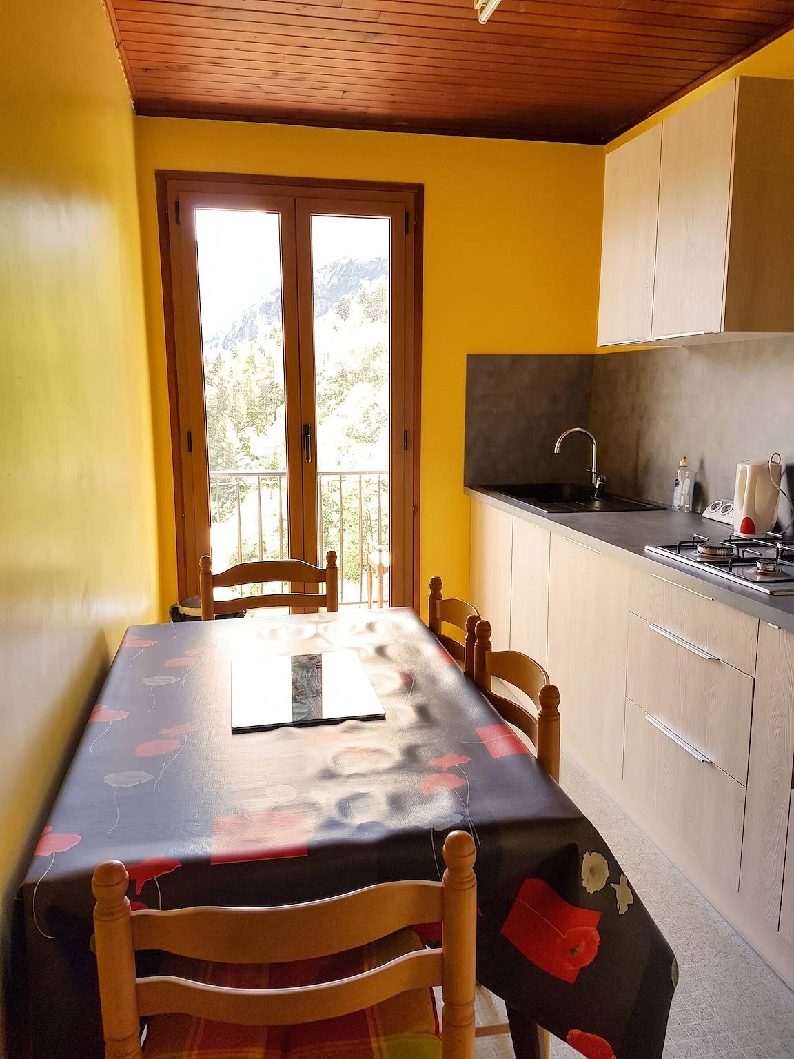 Appartement entier, Appartement charmant à Saint-Martin-Vésubie avec terrasse, 46 m² in Venanson, Région de Nice