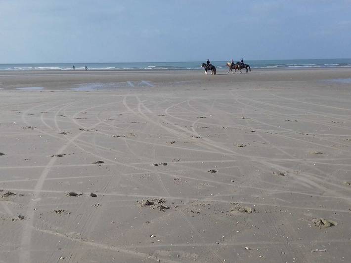 Ferienhaus für 5 Personen, mit Garten und Terrasse sowie Pool, kinderfreundlich in Belgien - 4